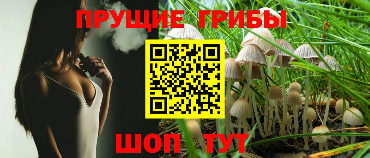 Псилоцибиновые грибы Cubensis Якутск