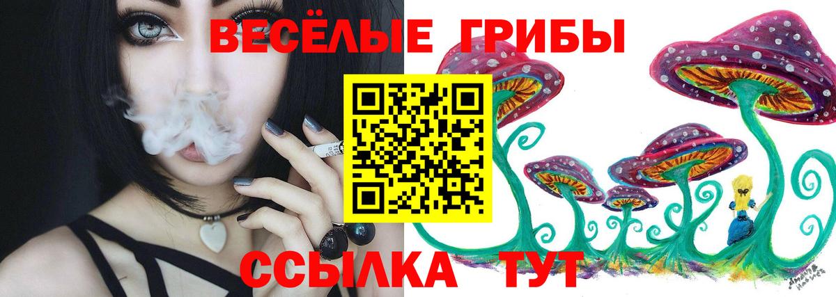 Якутск  закладка  Вход с VPN  Галлюциногенные грибы мицелий 
